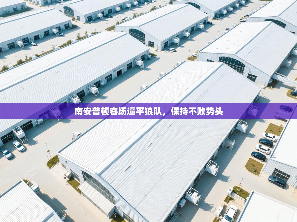 南安普顿客场逼平狼队,保持不败势头 第1张