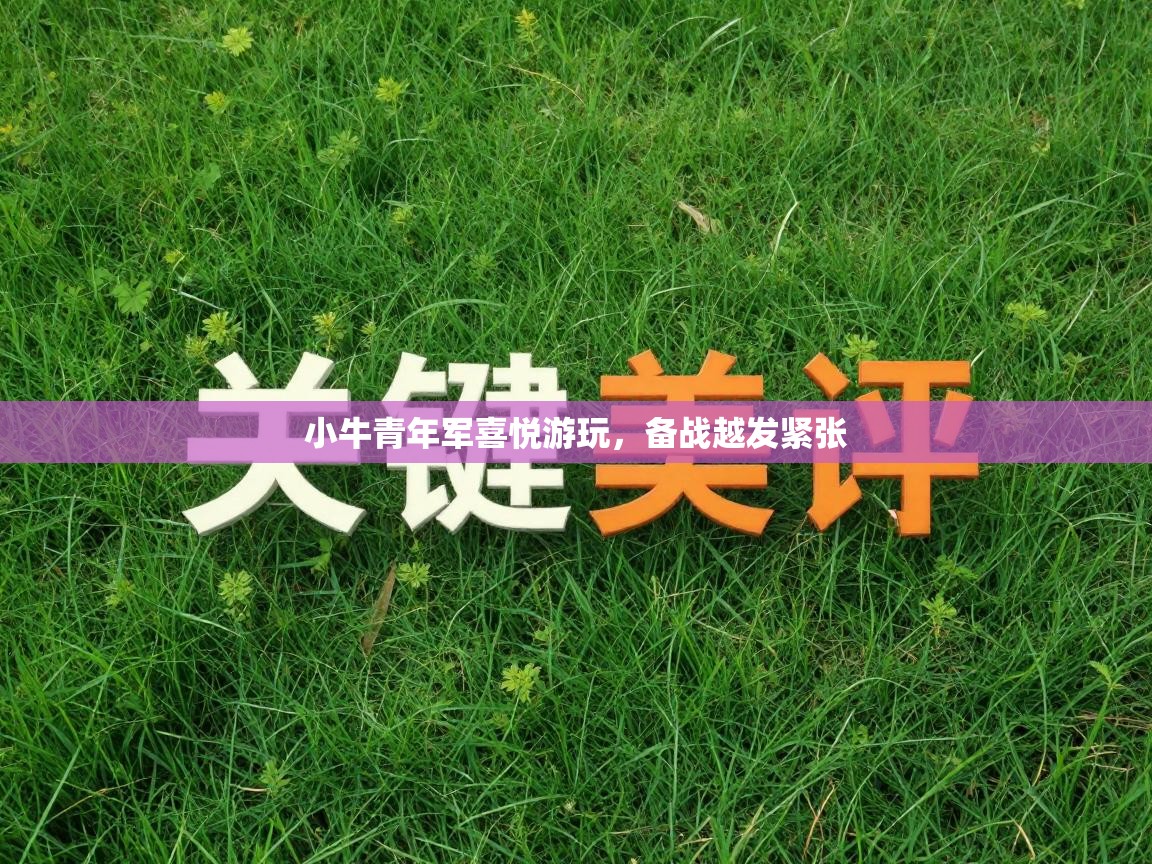 小牛青年军喜悦游玩,备战越发紧张 第1张