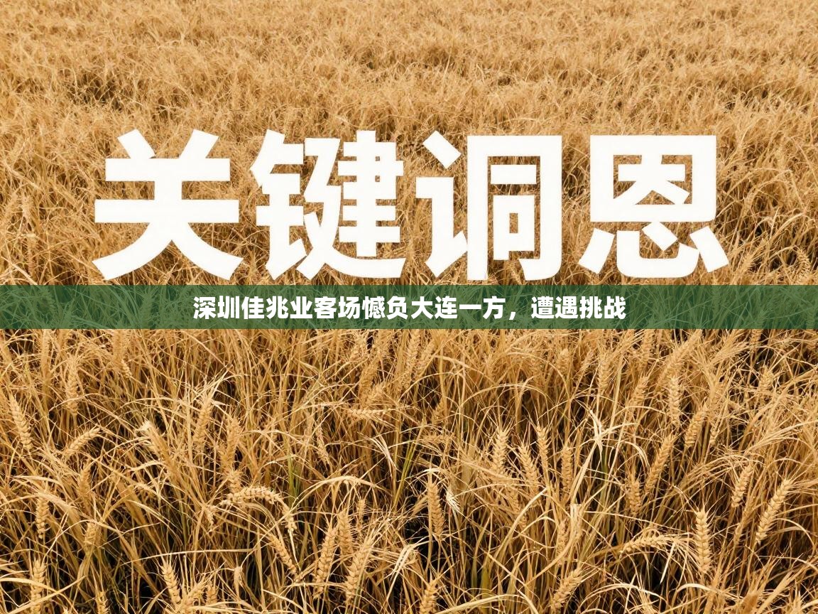 深圳佳兆业客场憾负大连一方，遭遇挑战  第2张