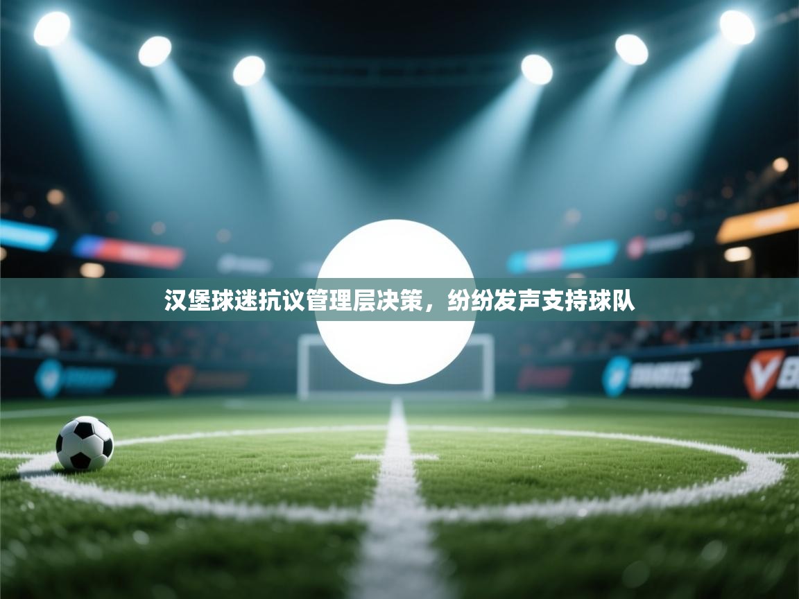 汉堡球迷抗议管理层决策,纷纷发声支持球队 第1张