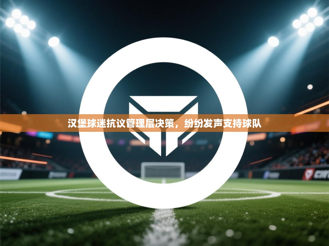 汉堡球迷抗议管理层决策,纷纷发声支持球队 第2张